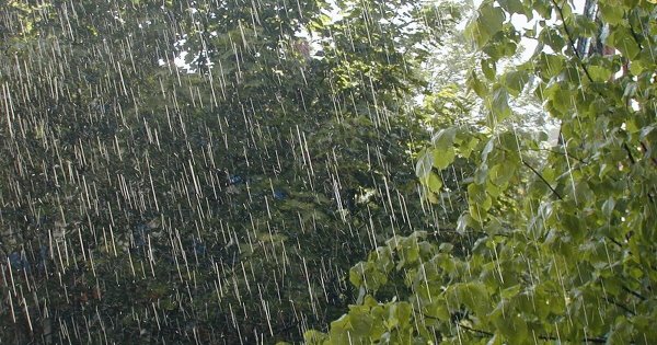 Косой летний дождь