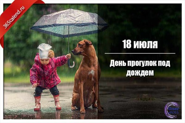 День прогулокплд дождем