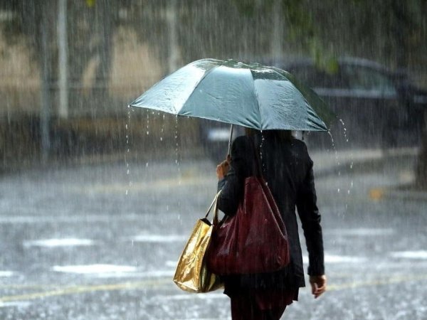 Холодный ветер с дождем