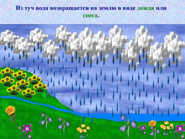 Вода просачивается в почву