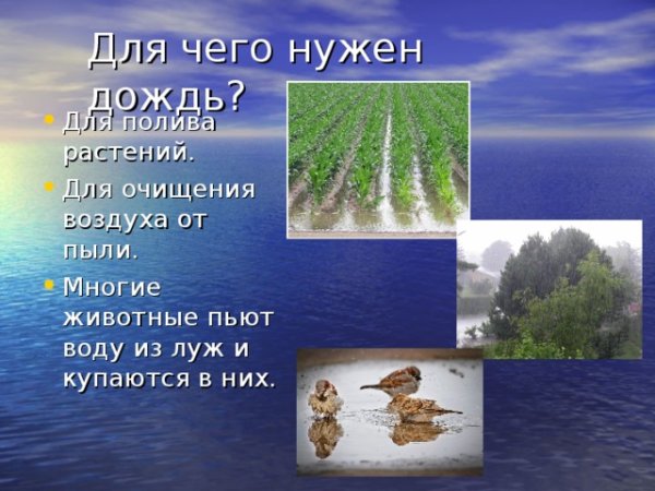 Дети дождя презентация