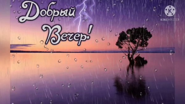 Добрый дождливый вечер