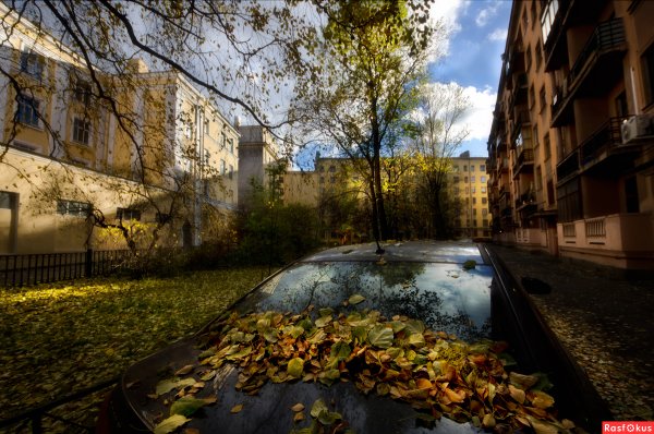 Осенний двор в городе