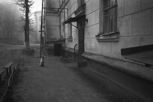 Серые улицы России