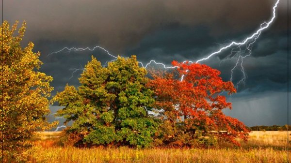 Гроза осенью