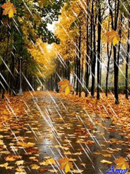 Ливень осень