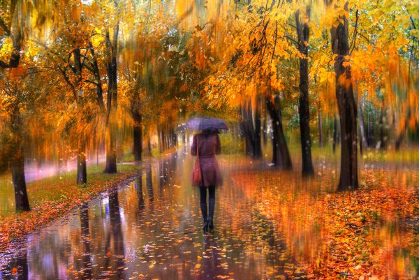 Дождливая осенняя аллея