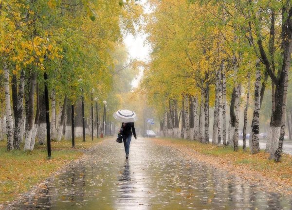 Октябрь дождь