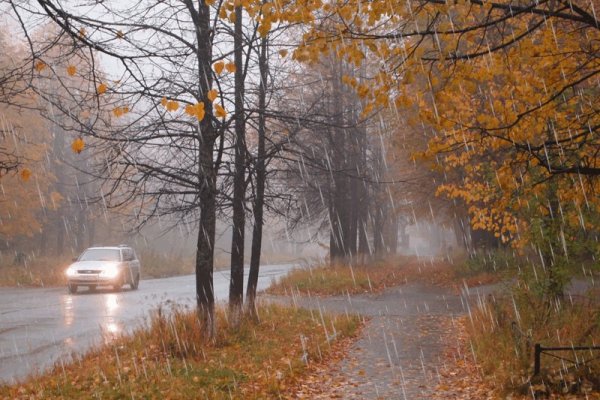 Холодная дождливая осень