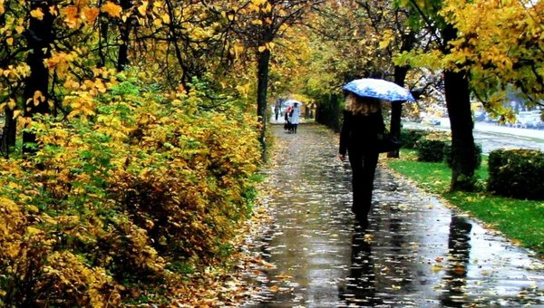 Осенний парк под дождем