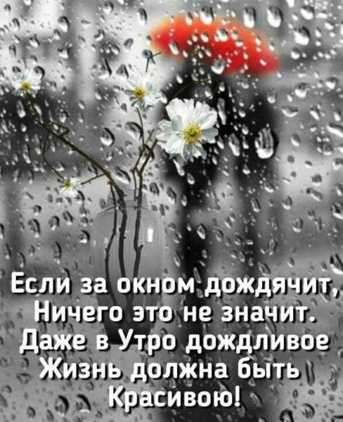 С добрым држдливфм цтпом