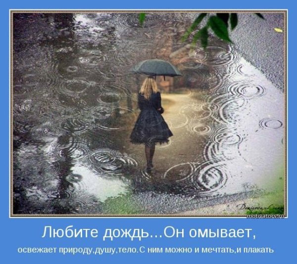 Люблю дождь