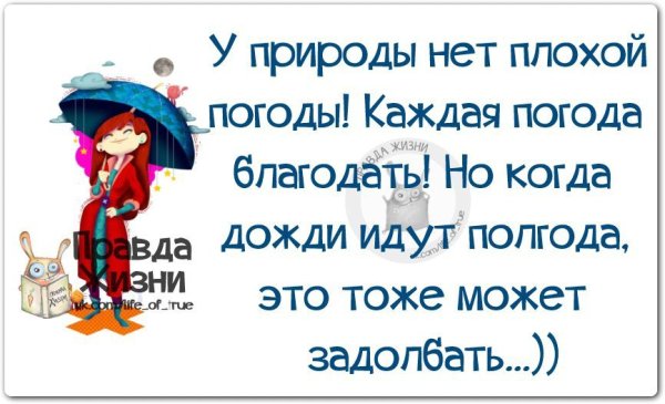 Смешные высказывания в картинках про погоду