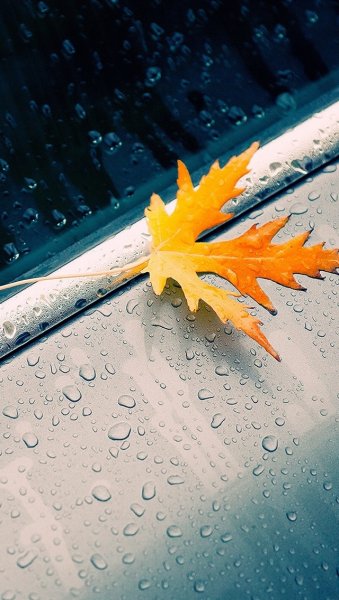 Дождь в окне