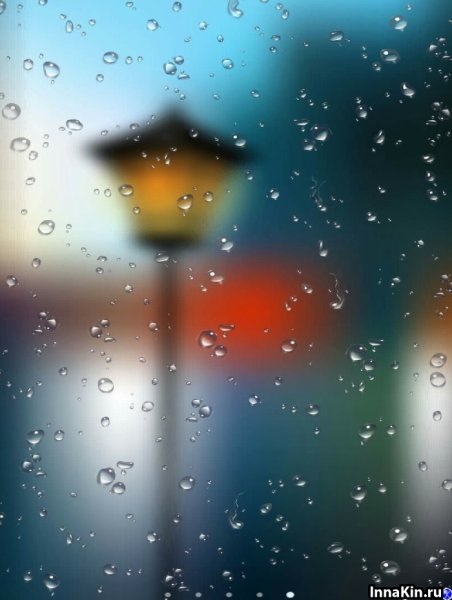 Осень дождь