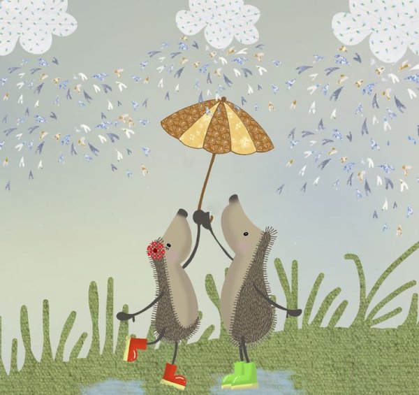 Ежик и дождик