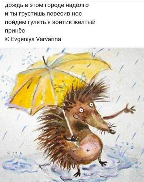 Ежик и дождь