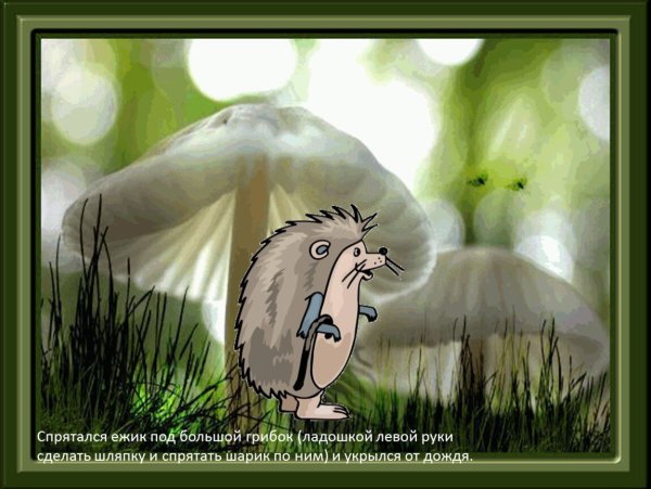 Ежик и дождь