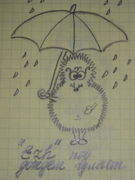 Ежик и дождь