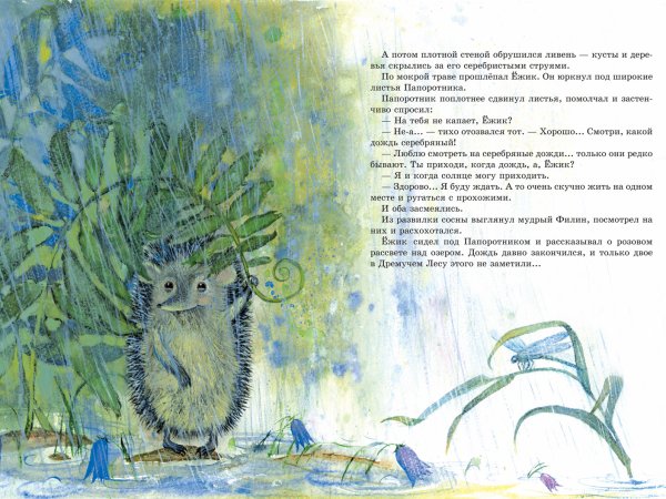 Ежик и дождик