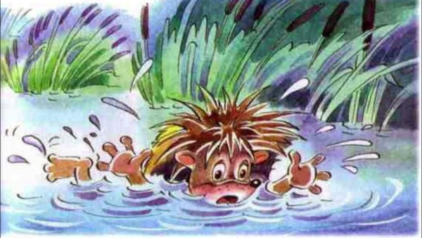 Ёжик в луже