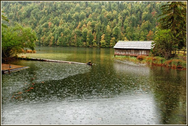 Ливень на озере
