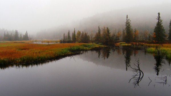 Осень река дождь