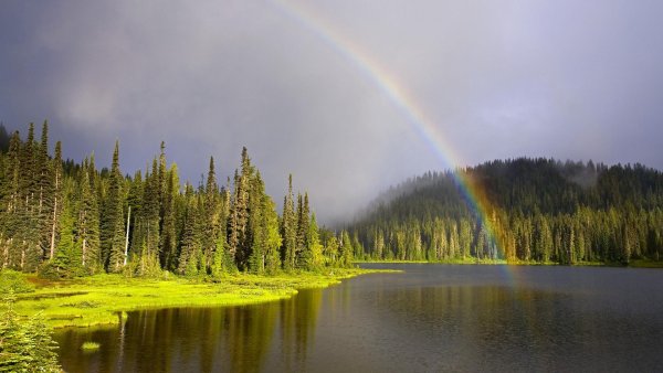 Радуга лес река