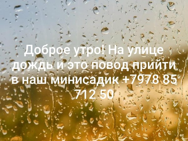 Доброе утро в пасмурный день