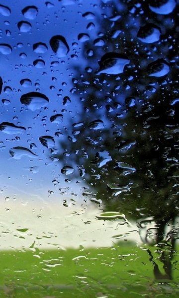 Живой дождь