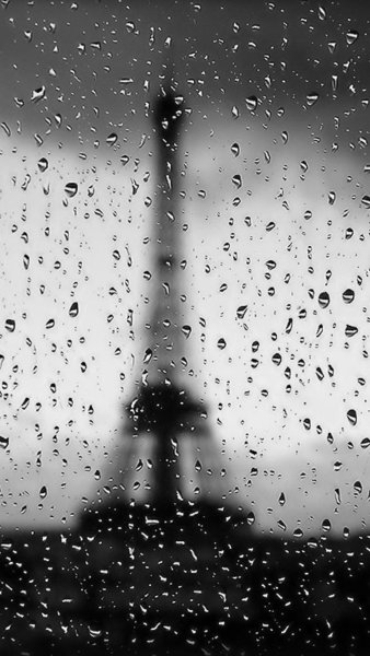 Черно белый дождь