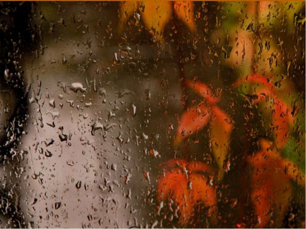 Осень дождь окно