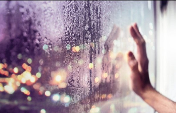 Рука на дождливом окне