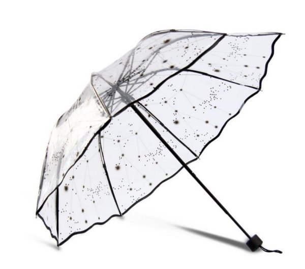 Зонт Ларсен дождевой