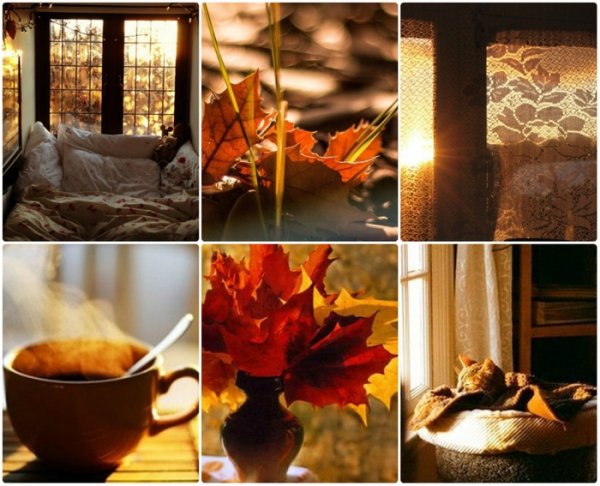 Осень чай плед