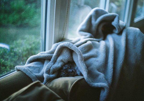 В пледе у окна