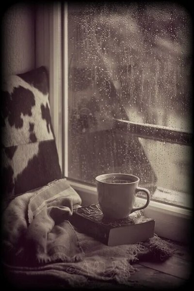 Плед кофе окно