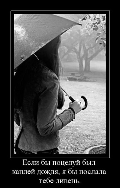 Афоризмы про дождь