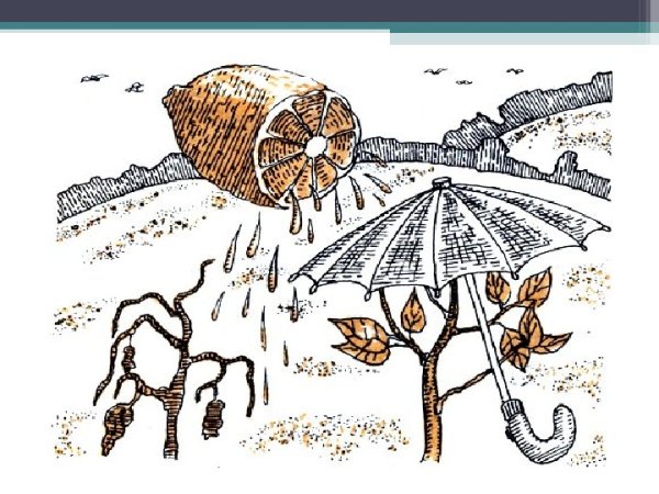 Рисунок на тему кислотный дождь