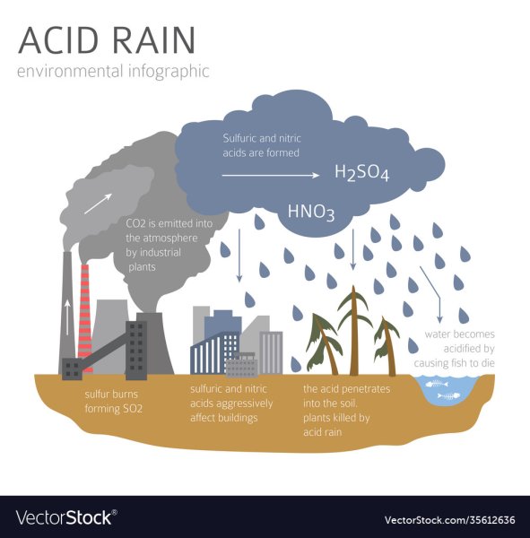 Инфографика кислотные дожди
