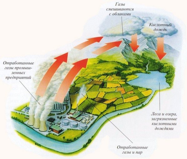 Механизм образования кислотных дождей схема