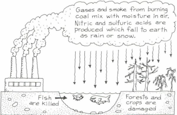 Кислотные дожди рисунок