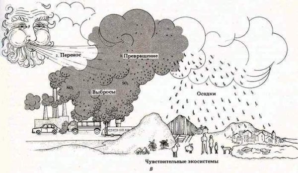 Кислотные дожди рисунок
