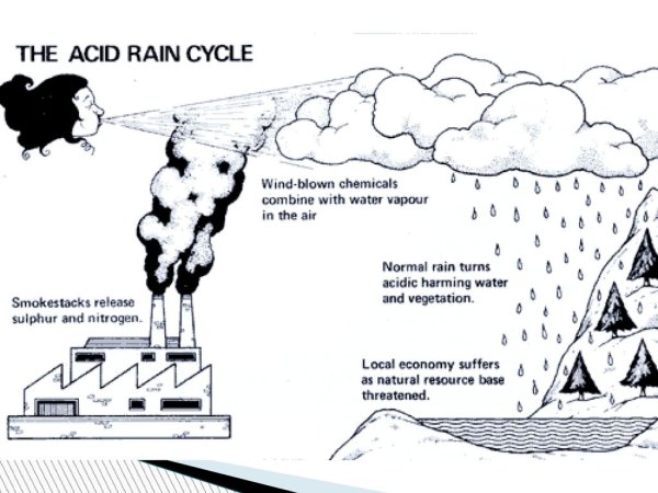 Кислотные дожди срисовать