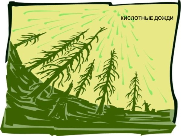 Кислотные дожди