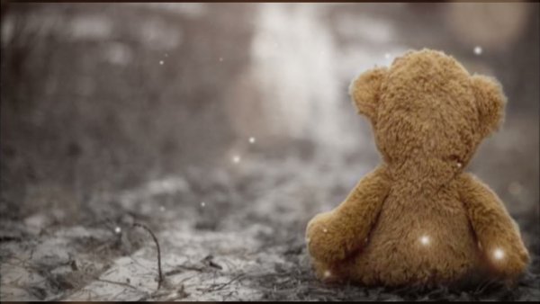 Мишка под дождем