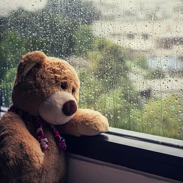 Плюшевый мишка на подоконнике