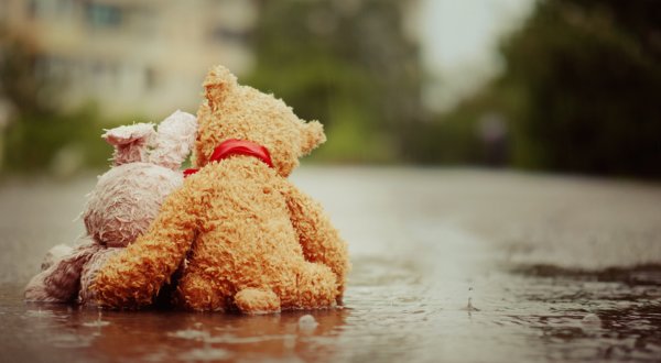 Плюшевый мишка под дождем