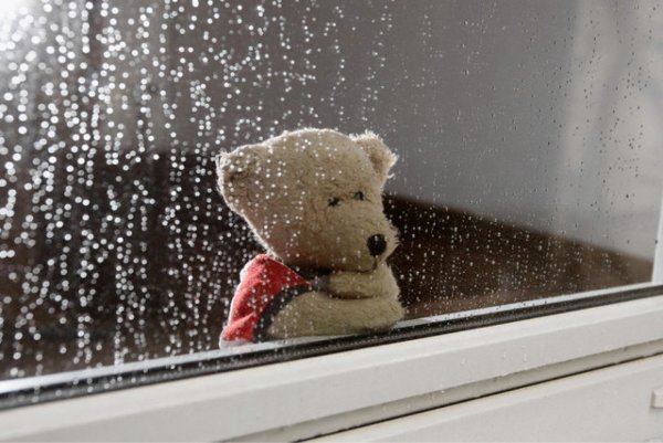 Плюшевый мишка у окна