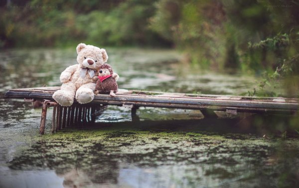 Медвежонок на скамейке